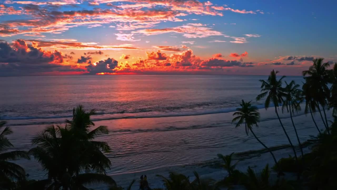 Sunset over a tropical beach and palms